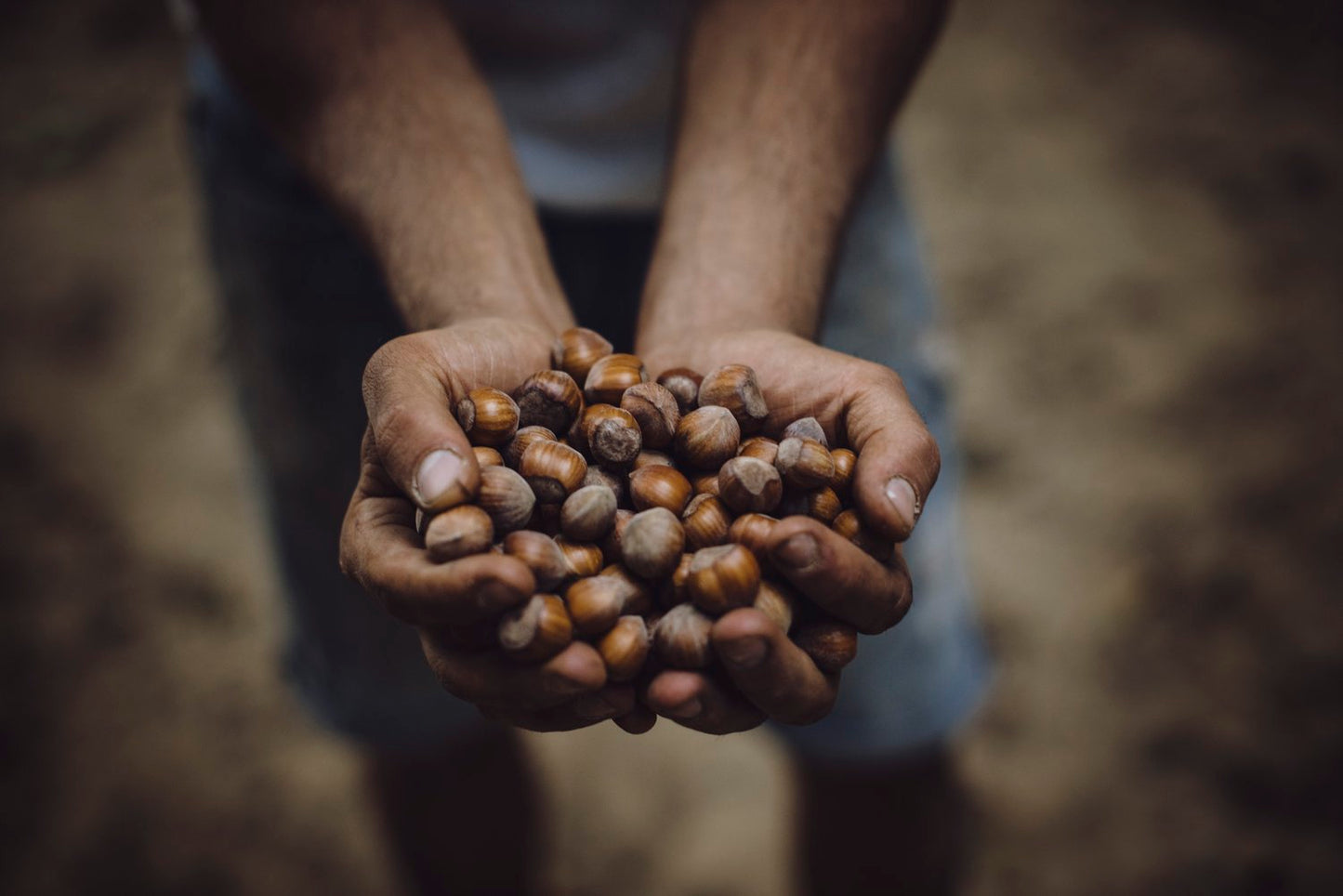 1kg Bag of Hazelnuts